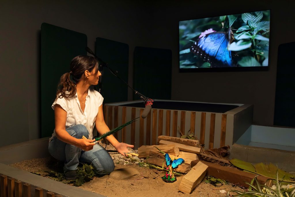 A woman kneels in a sand-filled enclosure with plants and a blue butterfly model, possibly inspired by a LEGO Insect set, holding a stick and a microphone. She looks at a large screen displaying a close-up of a real blue butterfly on green leaves.