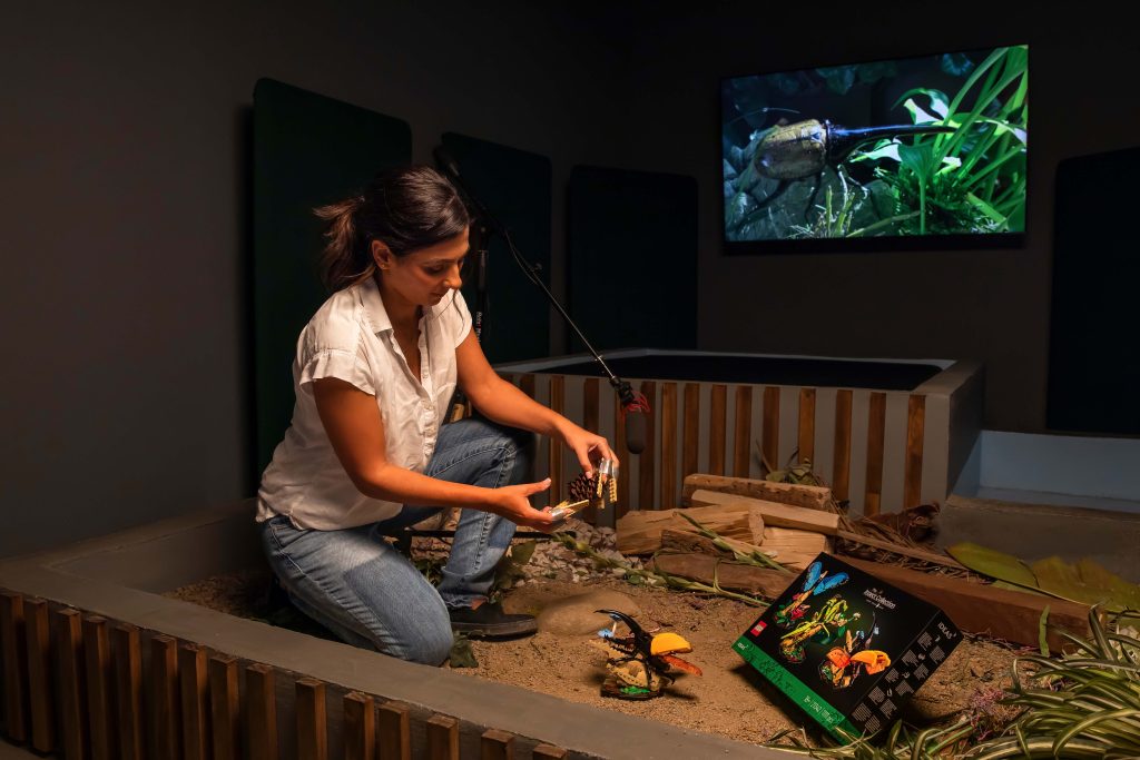 A woman kneels in a sandpit, assembling colourful LEGO Insect toy beetles. A beetle-themed toy box is nearby, and a screen in the background displays a close-up image of a real beetle on green plants.
